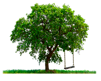 bg_property3